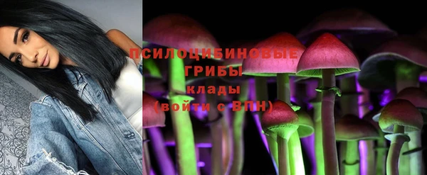 мет Арсеньев