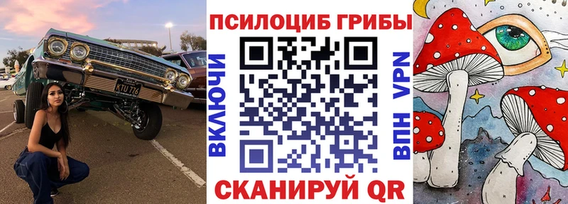 Галлюциногенные грибы прущие грибы darknet Telegram Медынь сколько стоит